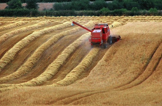 Combine lines