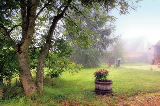 Misty Gardens