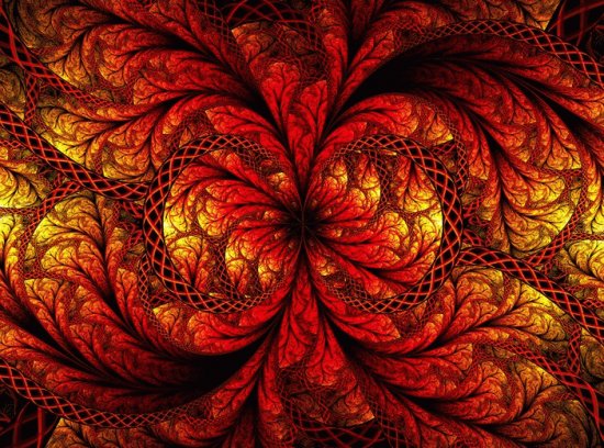 red fern