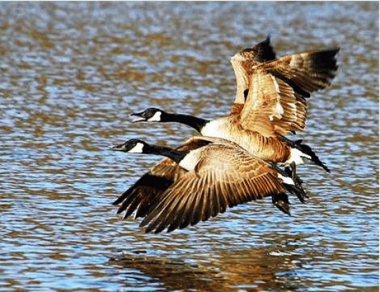 take off-10