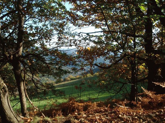 paysage cÃ©venol
