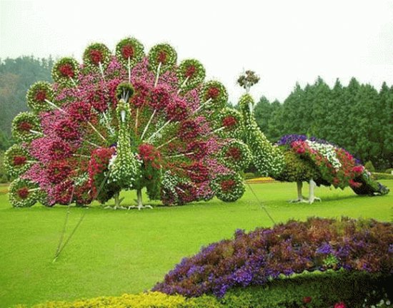 CREATIVIDAD EN JARDINERÃA