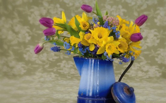 Spring Flowers