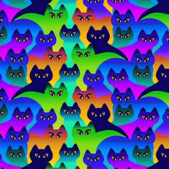 Gatos