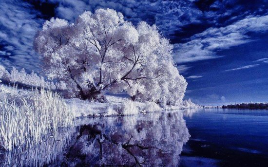 hiver