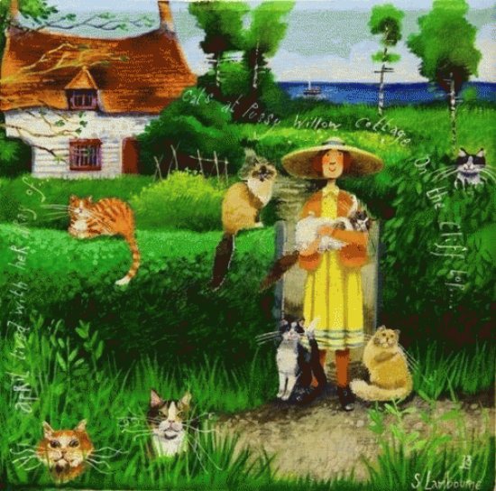 Gatos
