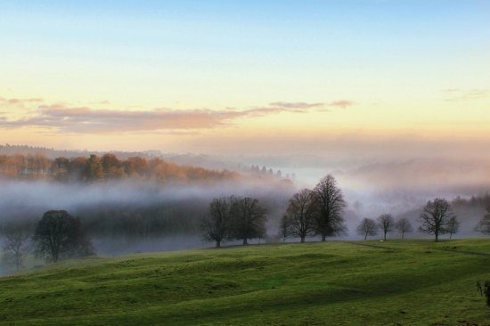 Miserden mists