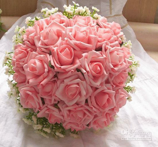 rosas 2