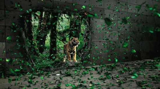 tigre