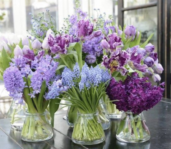 Flores