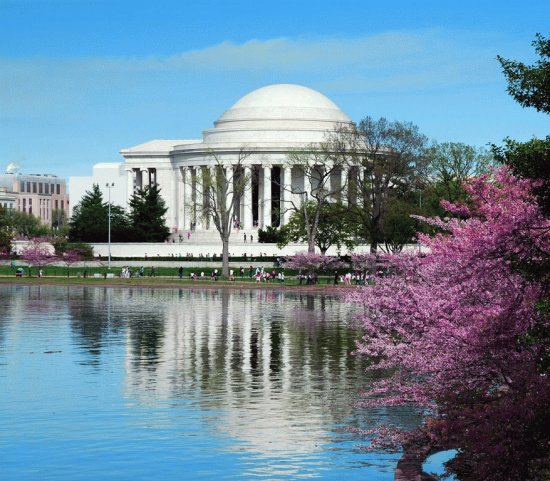 white house