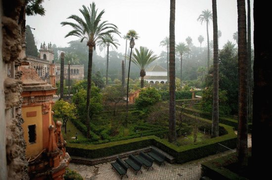 jardines