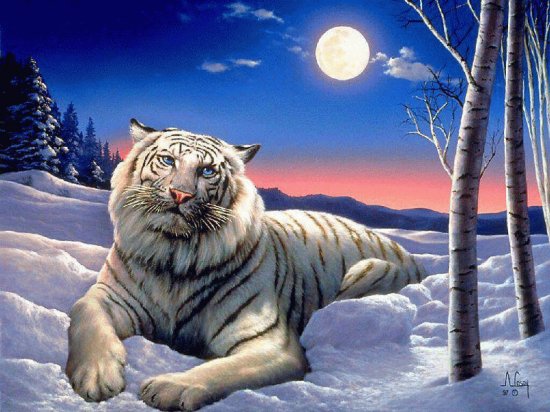 tigre