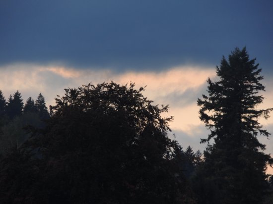 abend dÃ¤merung