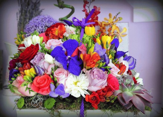 fleurs