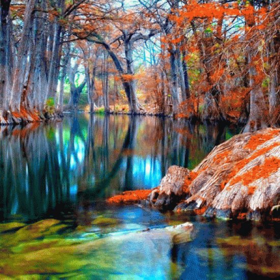 texas