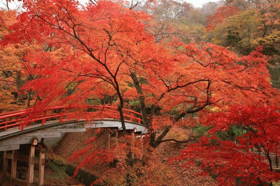 RED BRIDGE