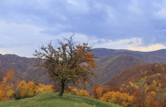 montains