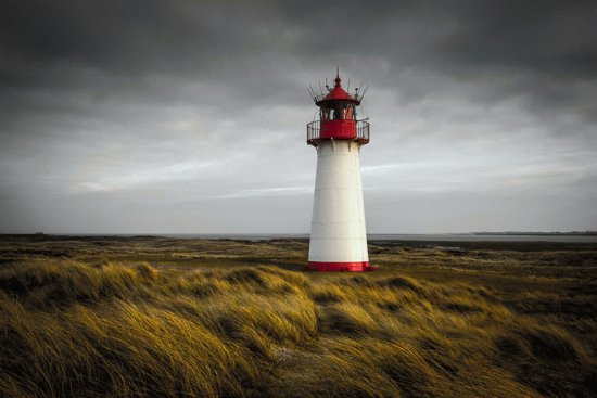 faro 8