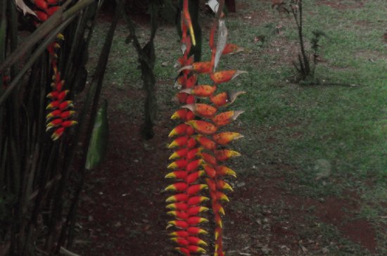 Misiones