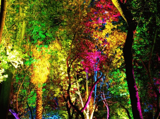 color3