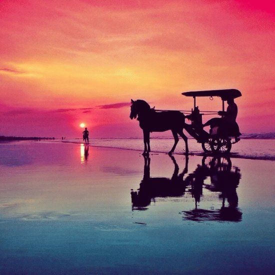 sunset