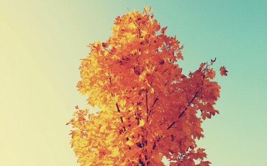 OtoÃ±o
