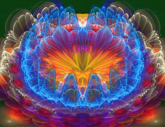 Blue Flower