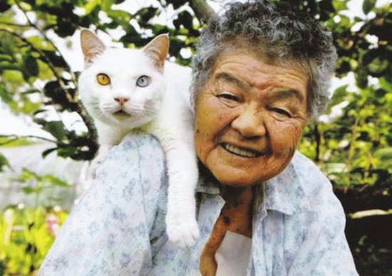 gato y seÃ±ora 2