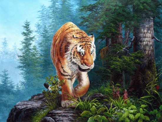 tigre