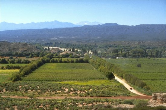 Hualfin. NeuquÃ©n. Argentina