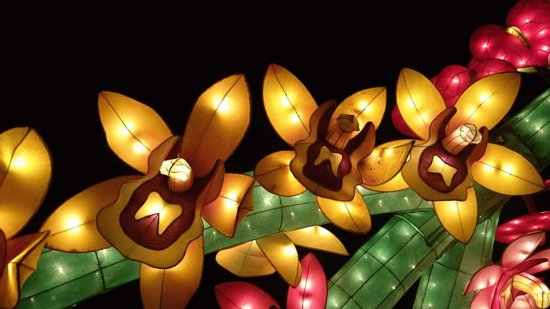 luz