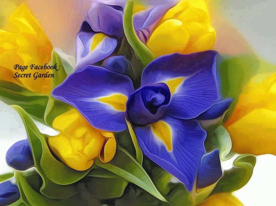 flor