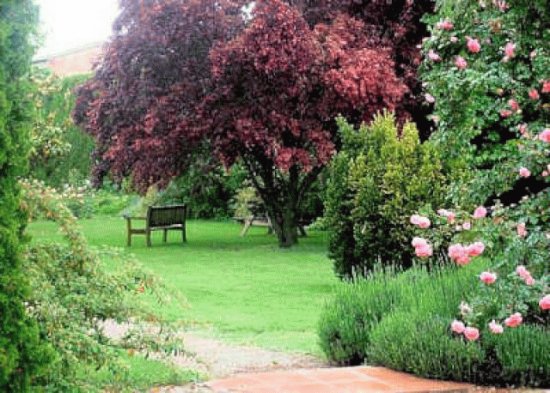 jardin
