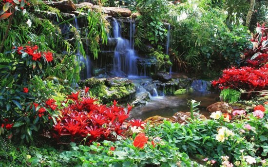 imagen jardin