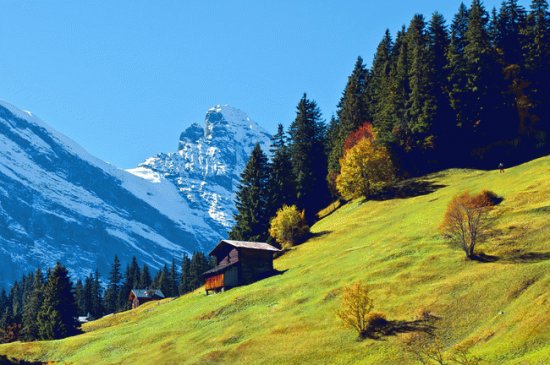 Natureza