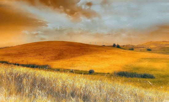 Natureza