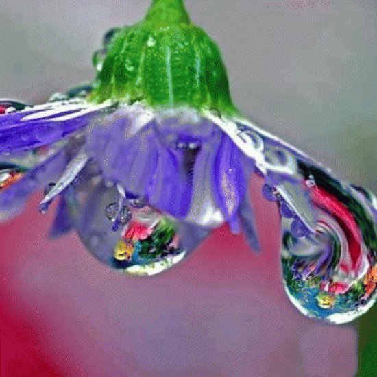 naturaleza