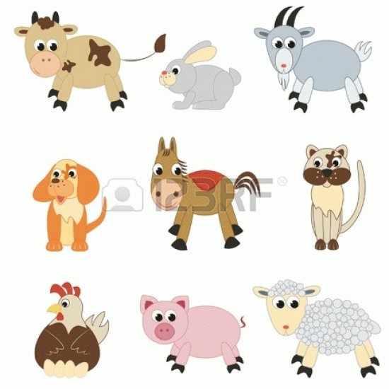 burro