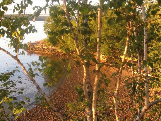 Favourite spot along the Miramichi River