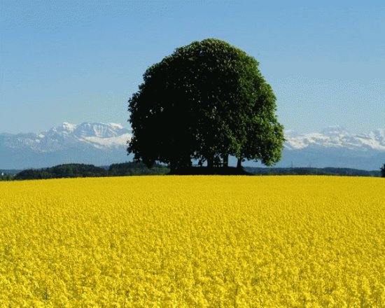 Natureza