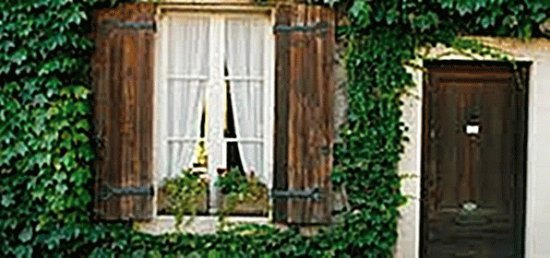 window