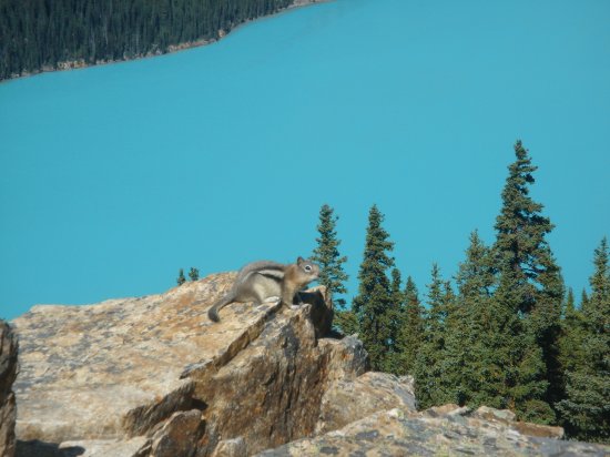 CANADA