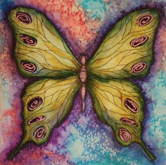 Beautiful Butterfly