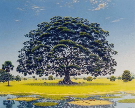 Natureza