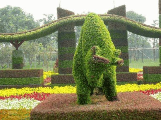 animais  de  flores