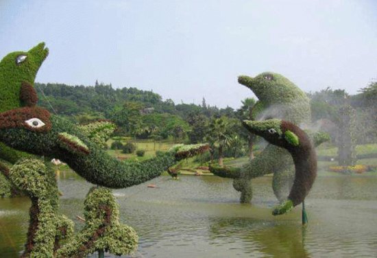 animais  de  flores