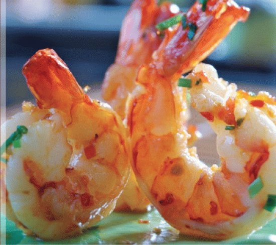 Shrimp
