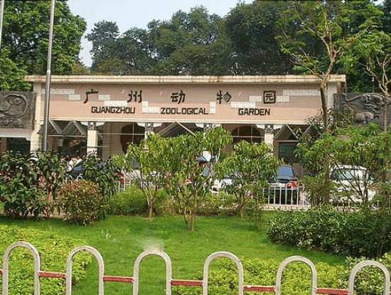 zoo