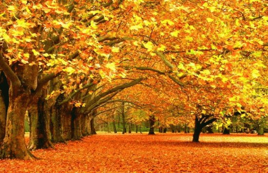 Natureza